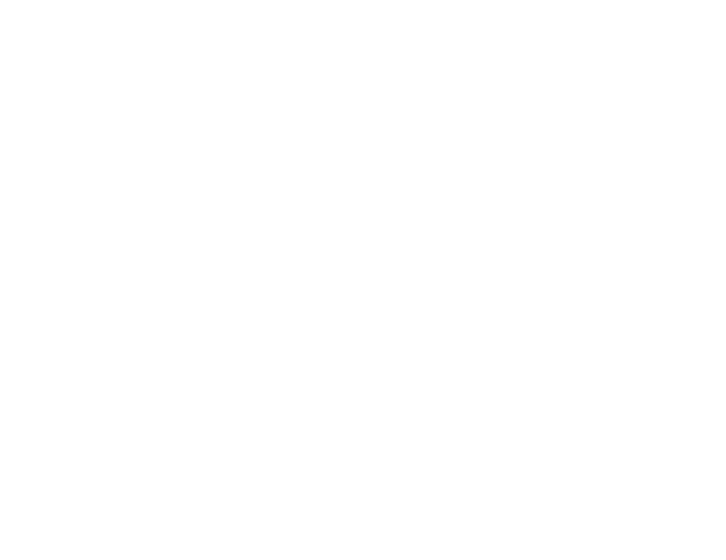 Tiki Concepts Logo
